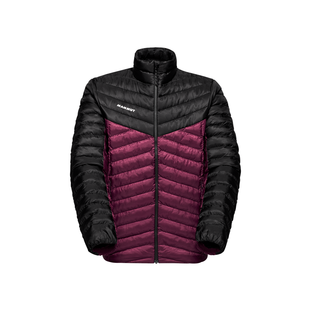 Albula in jacket men