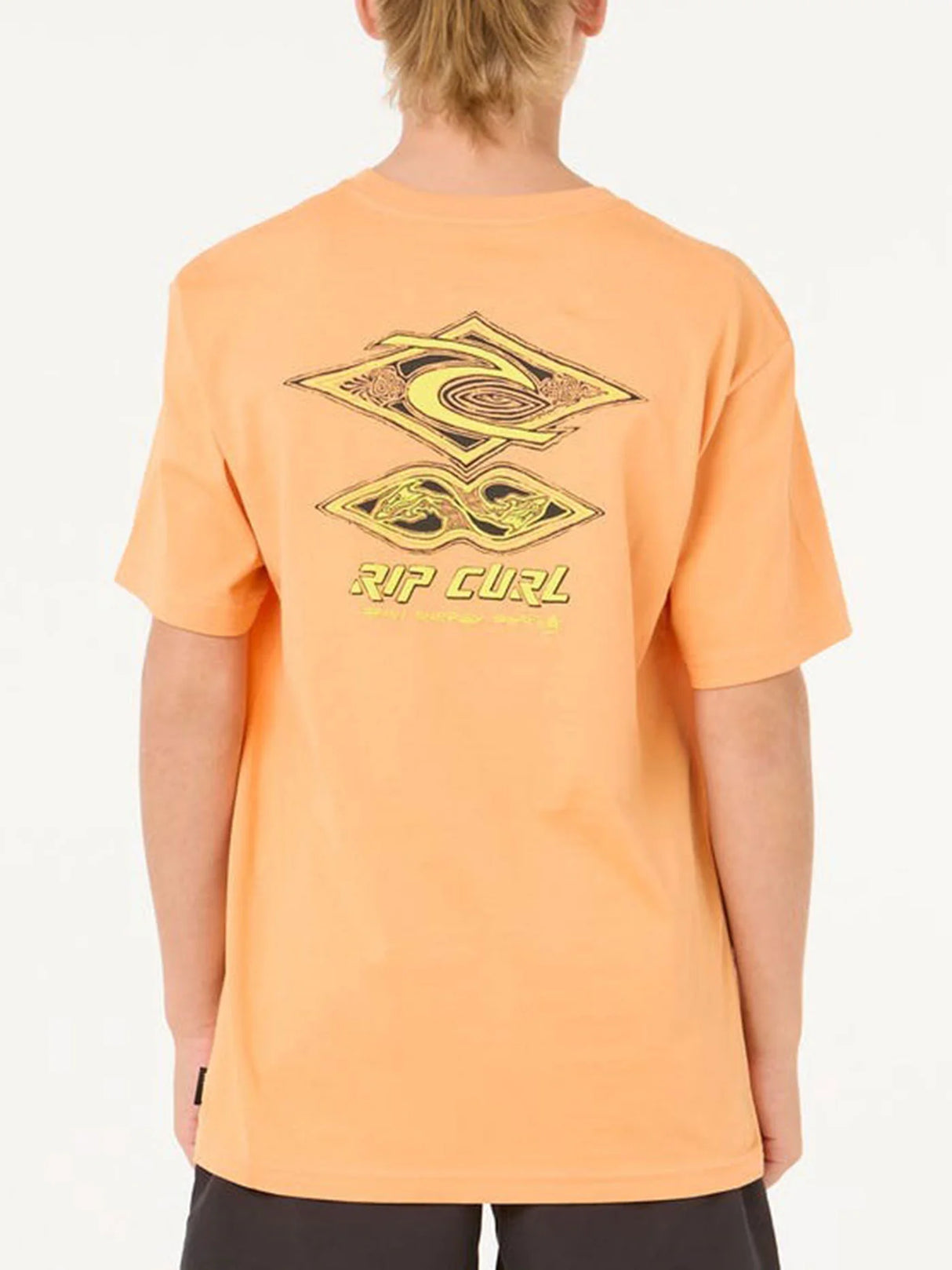 Raw energy dolphin tee-boy