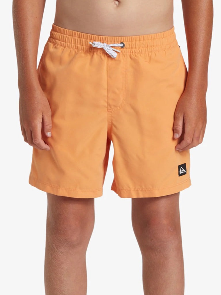 Everyday solid volleyball yth 14