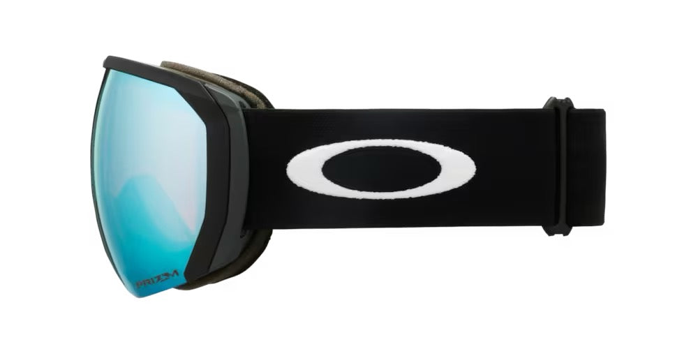 Flight Path L Black / Prizm Iced