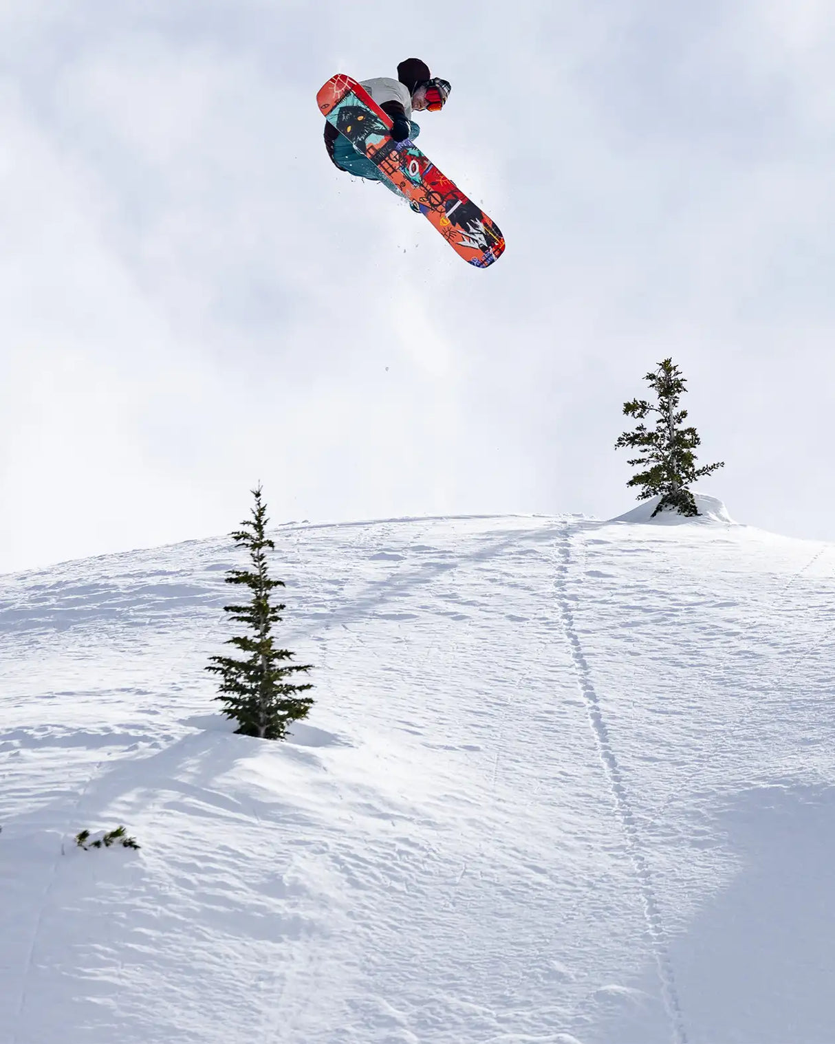 Men's Rally Cat Snowboard