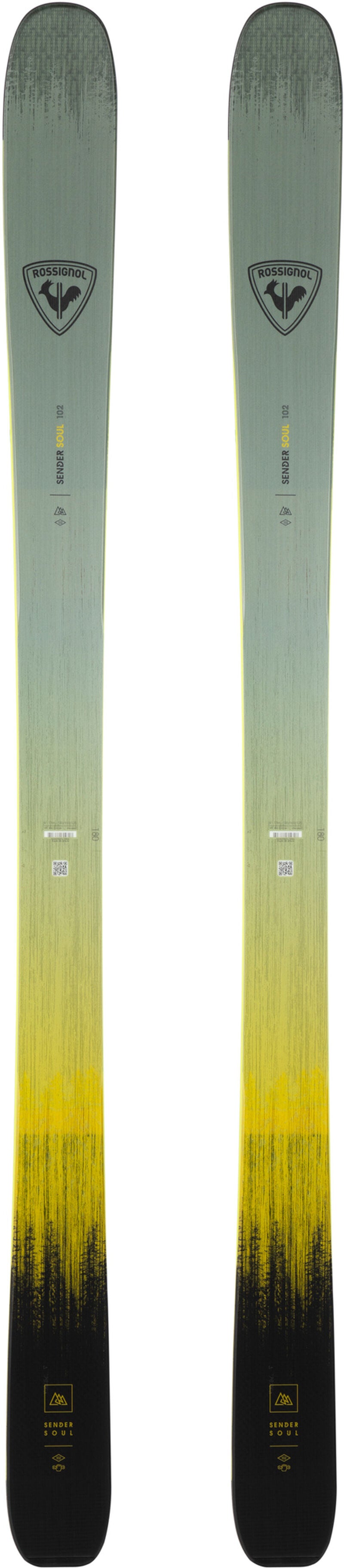 HERO MASTER ST R22 ALPINE SKIS