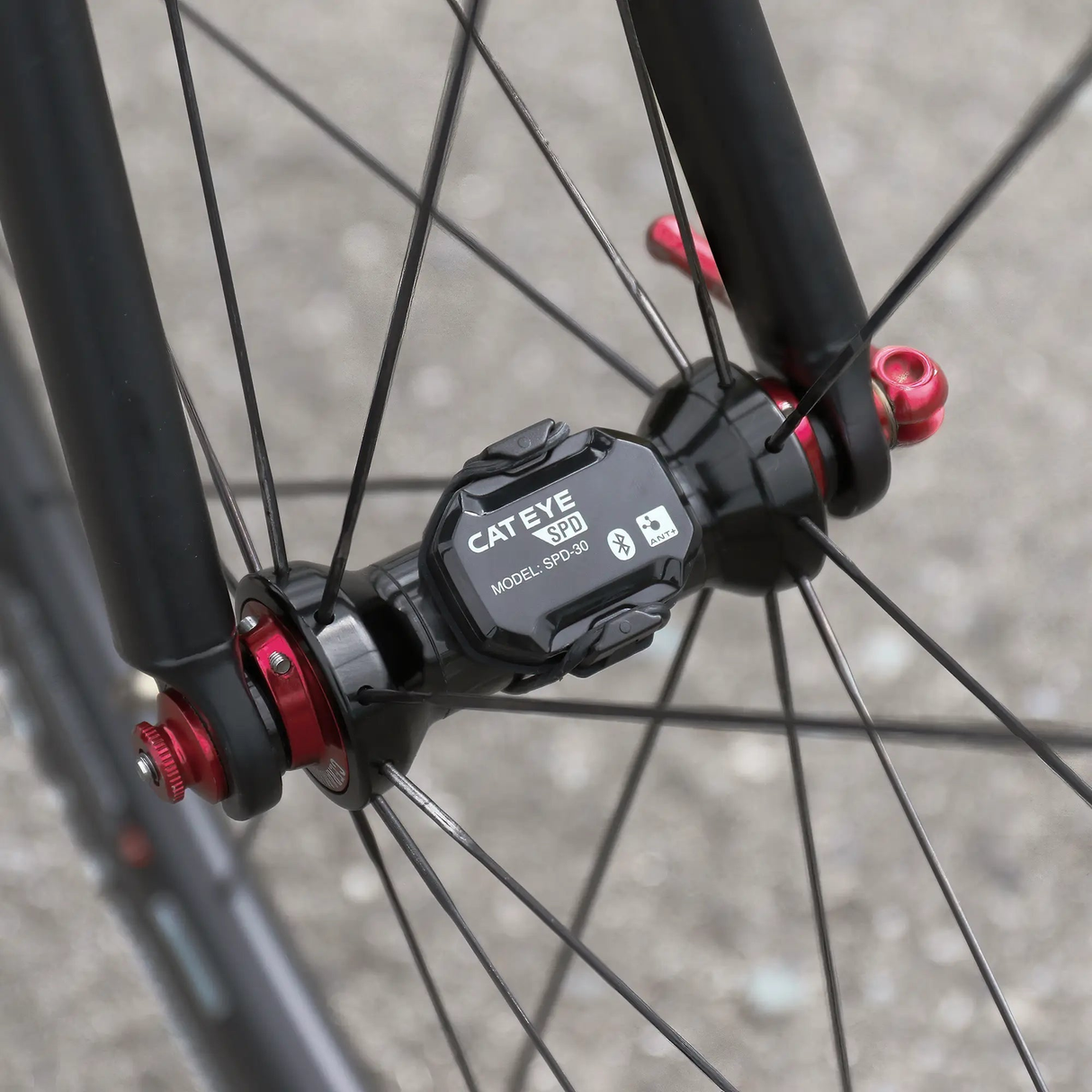 Ensemble de capteurs de cadence et vitesse SPD / CDC-30 - CatEye