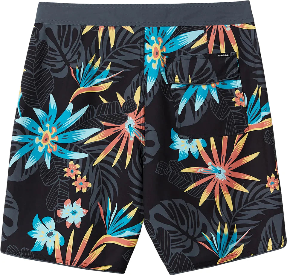 Hyperfreak mysto scallop 19