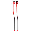 Rossignol Hero GS-SG Ski Poles 2027