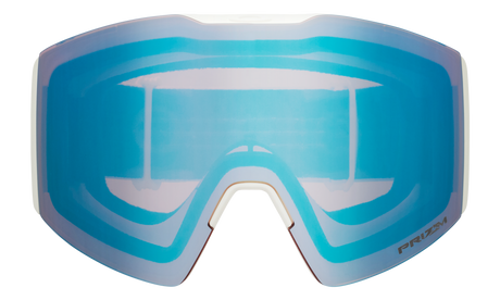 Fall Line L Snow Goggles