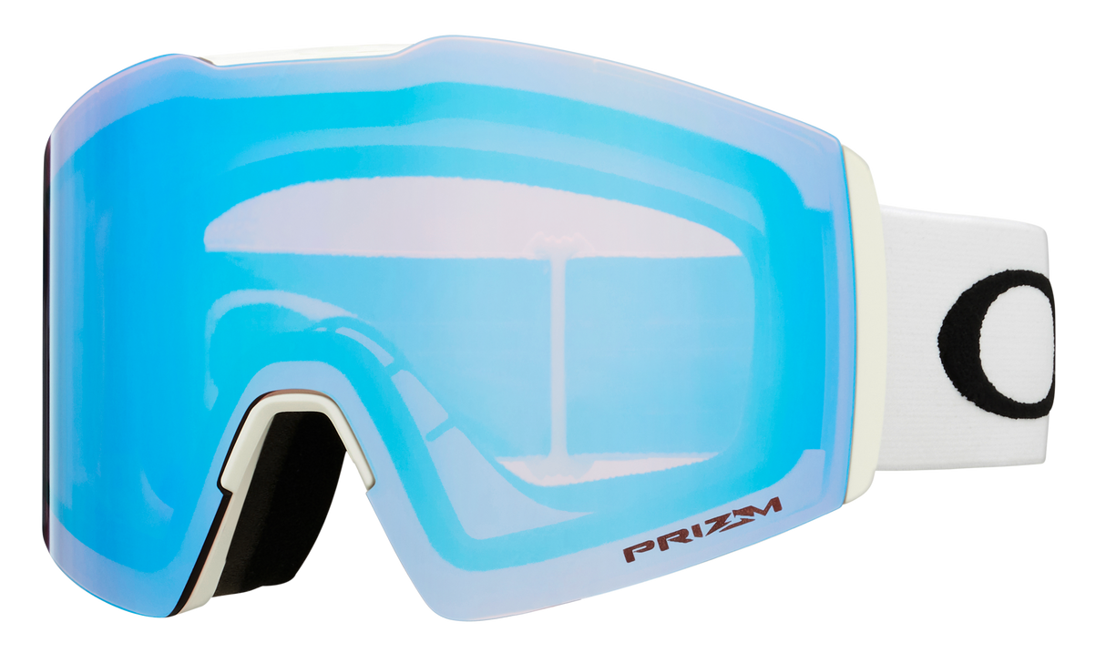 Fall Line L Snow Goggles