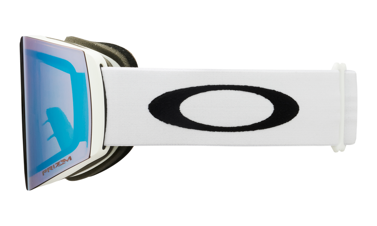 Fall Line L Snow Goggles