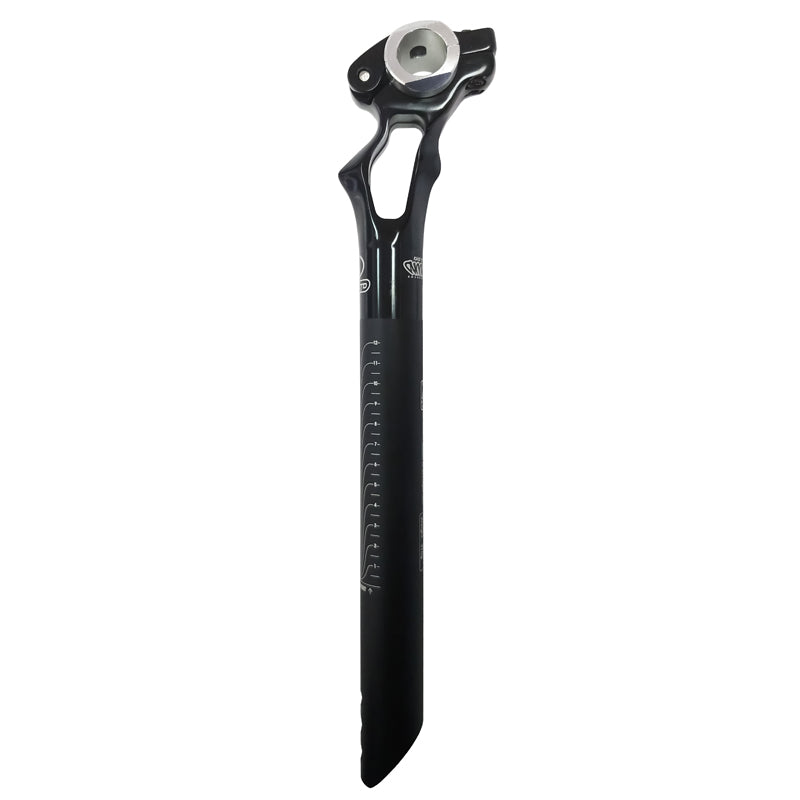 Amoeba Seat Post