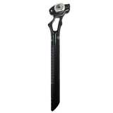 Amoeba Seat Post