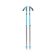 Traverse Ski Poles