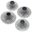 R10 / XLE CS-H100 (10 VIT)