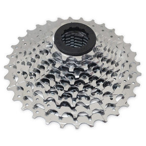 R10 / XLE CS-H100 (10 VIT)