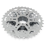R10 / XLE CS-H100 (10 VIT)