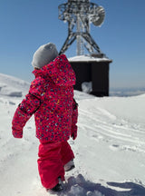 Burton Hillslope 2L Toddler