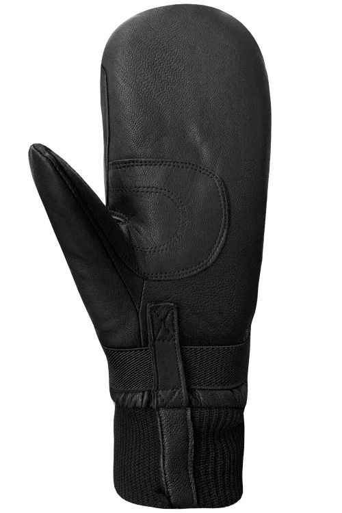 Auclair WWPB Gigatex Men's Mittens