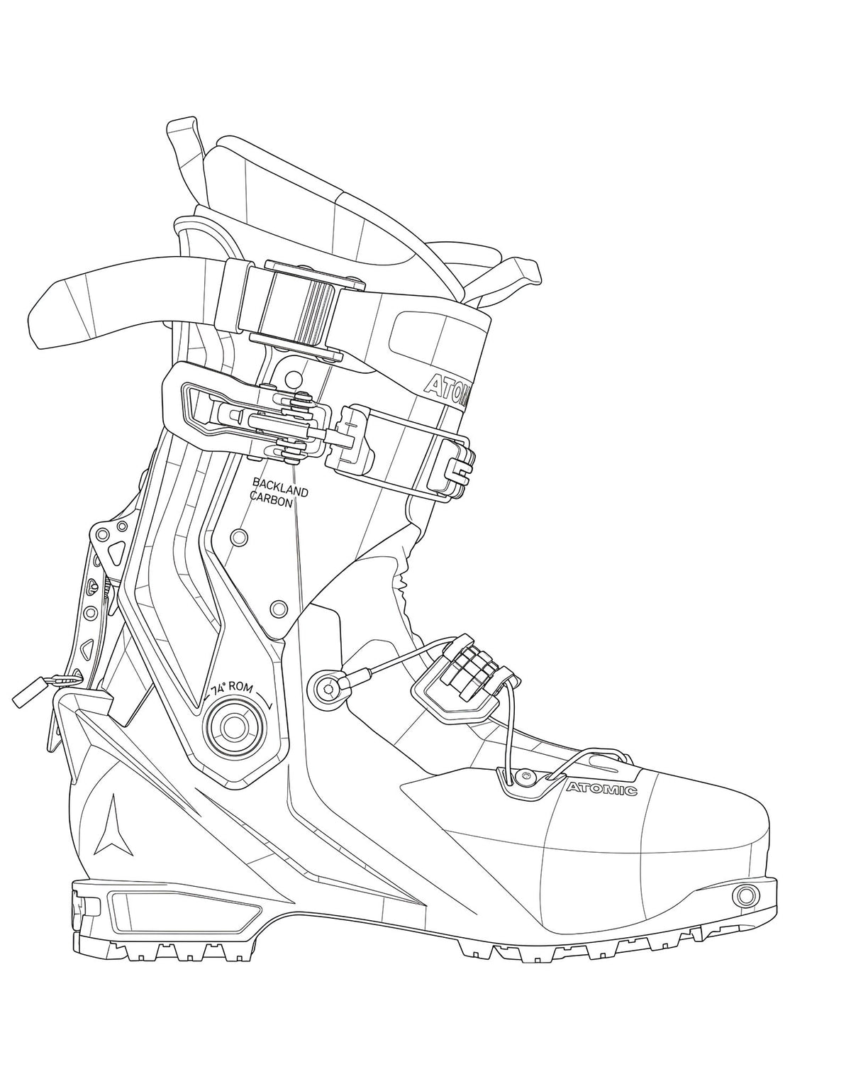 BACKLAND CARBON