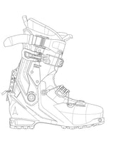 BACKLAND CARBON