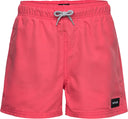 Short de bain Rip Curl Offset Volley - Garçons