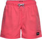 Short de bain Rip Curl Offset Volley - Garçons