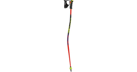 WCR EVO LITE GS TR | Leki