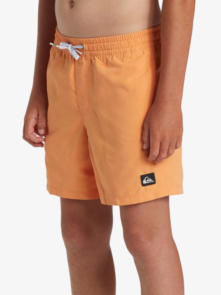 Everyday solid volleyball yth 14