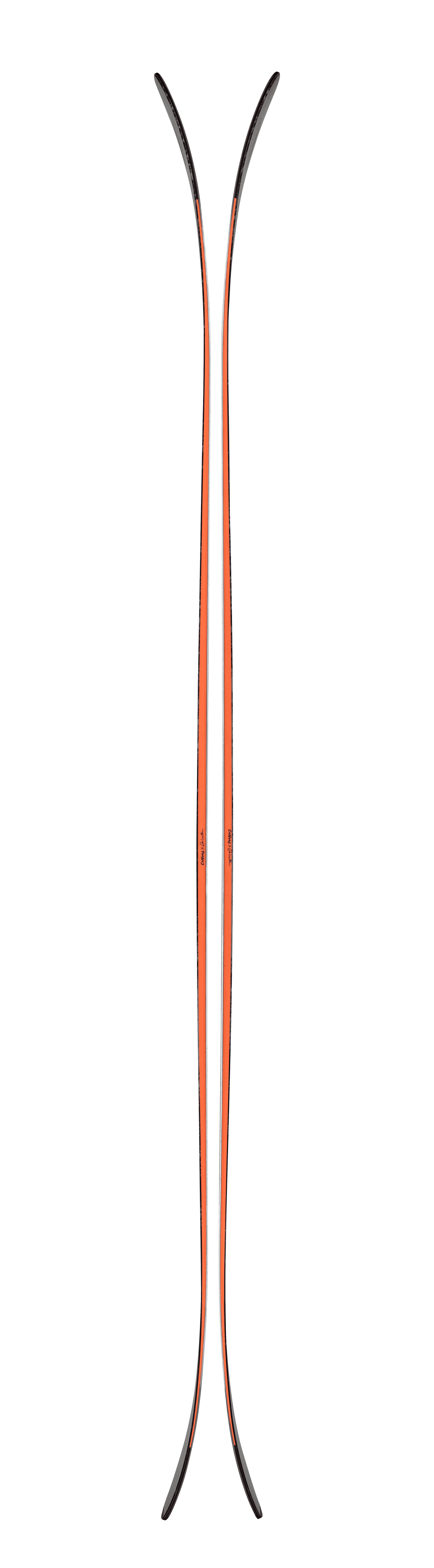 Canvas 100