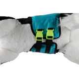 Gilet pour chien RADAR