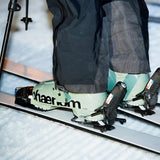phaenom fs 02 90