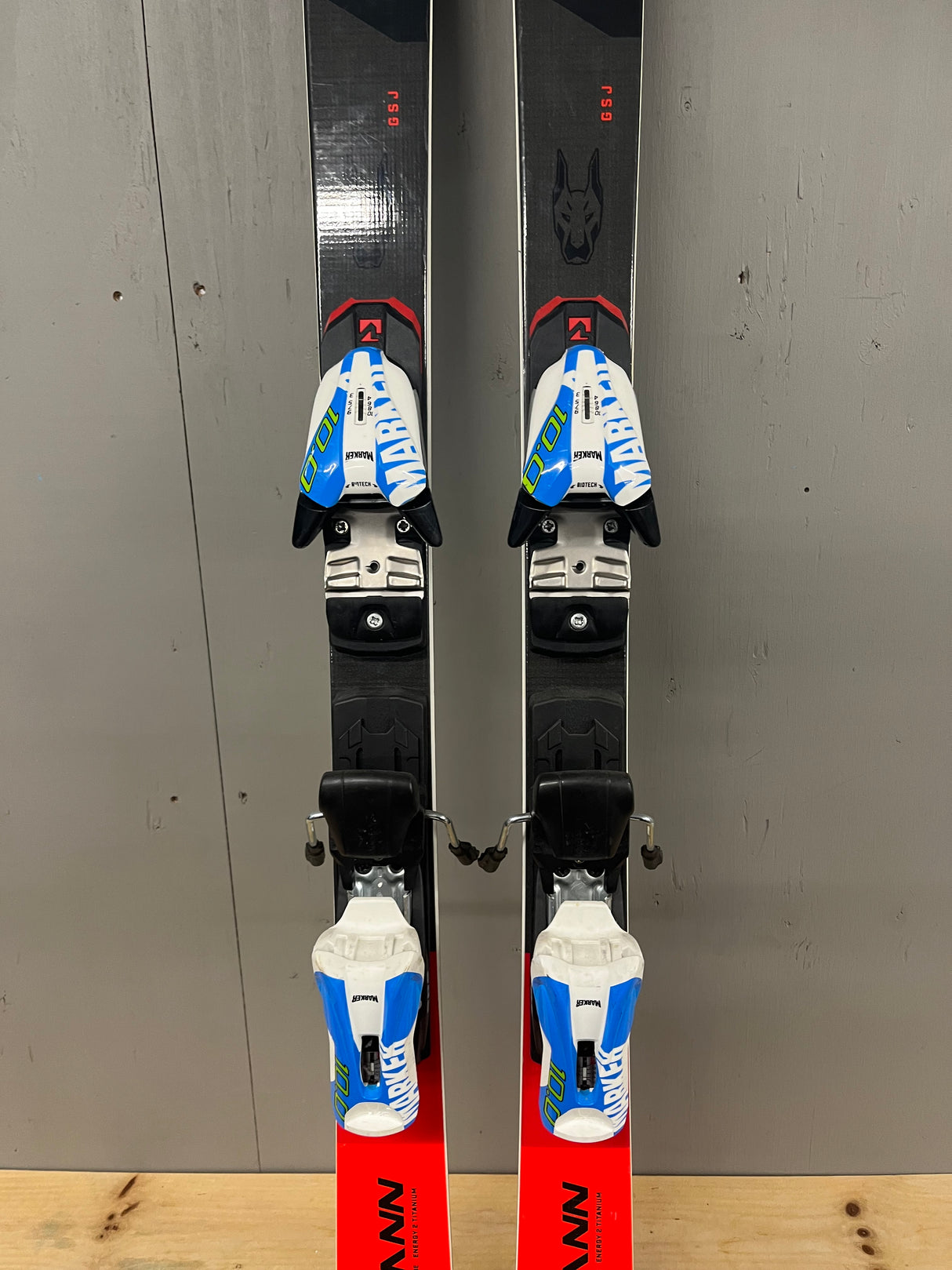 Dobermann GS J demo + Comp 10