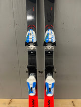 Dobermann GS J demo + Comp 10