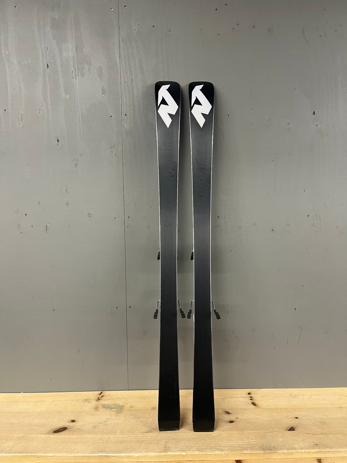 Dobermann GS J demo + Comp 10