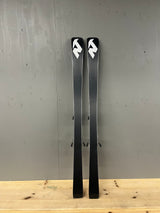 Dobermann GS J demo + Comp 10