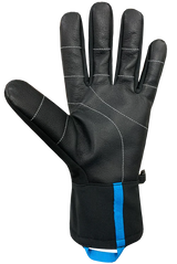 Auclair Blizzard Unisex Gloves