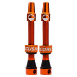 Tubeless Presta Valve Set