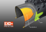 Assegai EXO+ 3C Maxxgrip TR