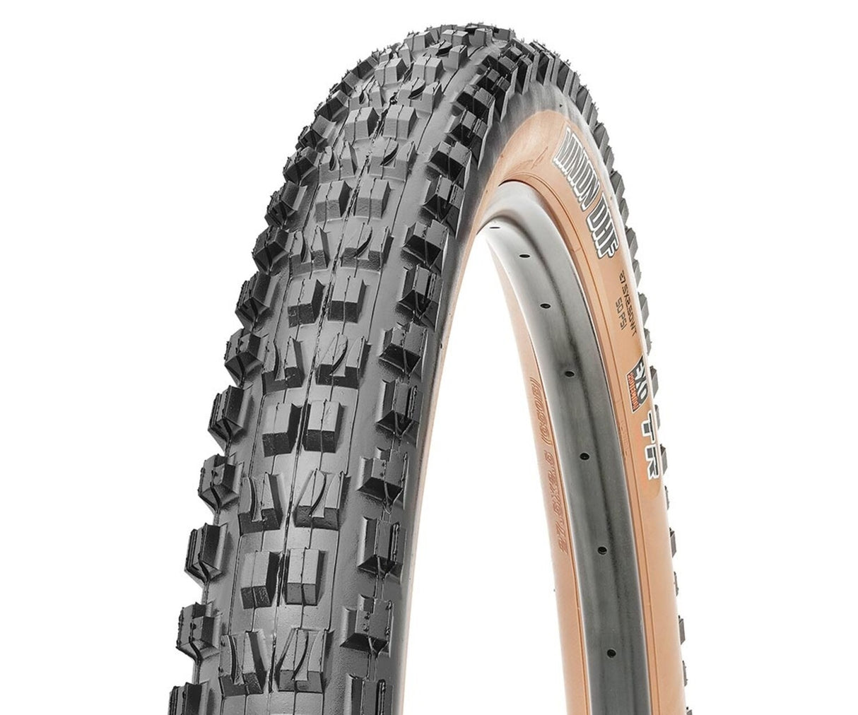 Minion DHF Dual Compound EXO TR