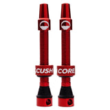 Tubeless Presta Valve Set
