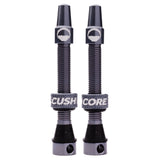 Tubeless Presta Valve Set