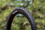 Maxxis Dissector II (2025) - NOUVEAU ! 