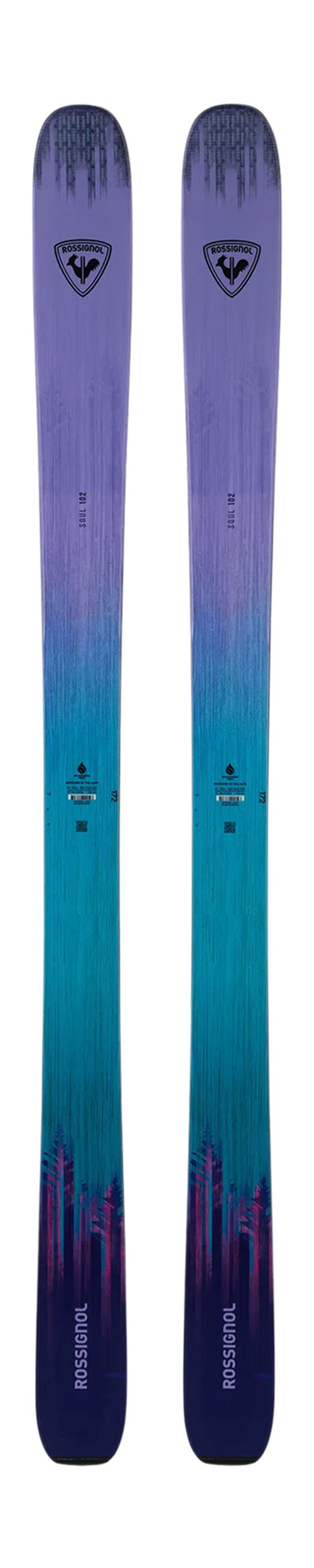HERO MASTER ST R22 ALPINE SKIS