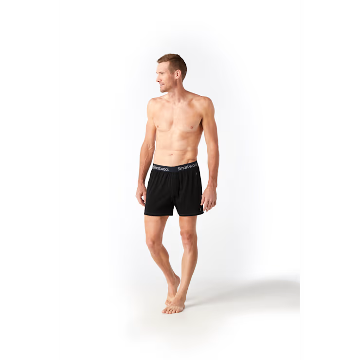 Men's Merino Boxer Brief 