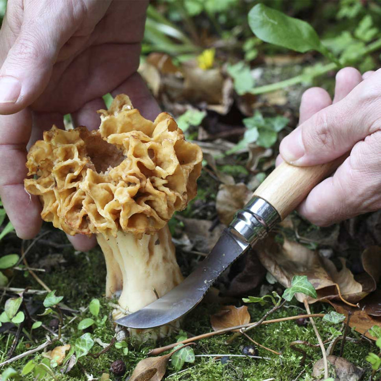 Couteau Opinel #8 Champignon